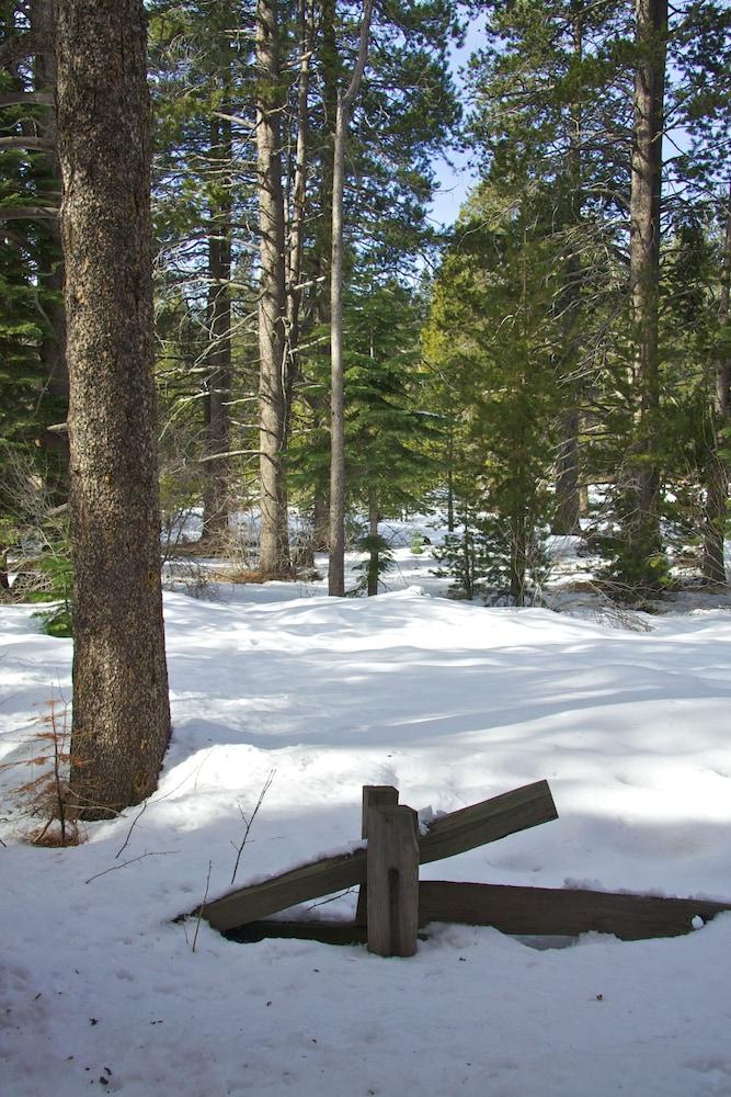 Truckee Donner Lodge Zewnętrze zdjęcie